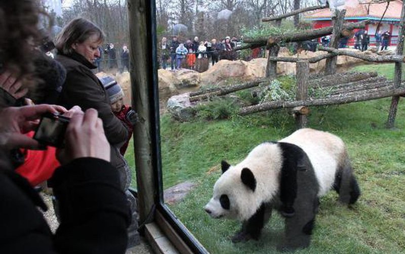 Golden panda france - Découvrez les Avantages du Casino En Ligne Golden Panda en France